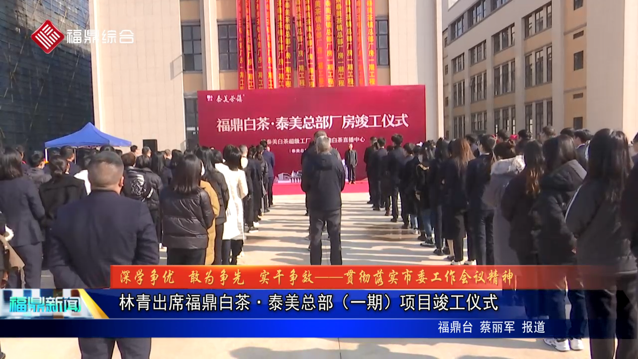林青出席百家乐平台白茶·泰美总部（一期）项目竣工仪式