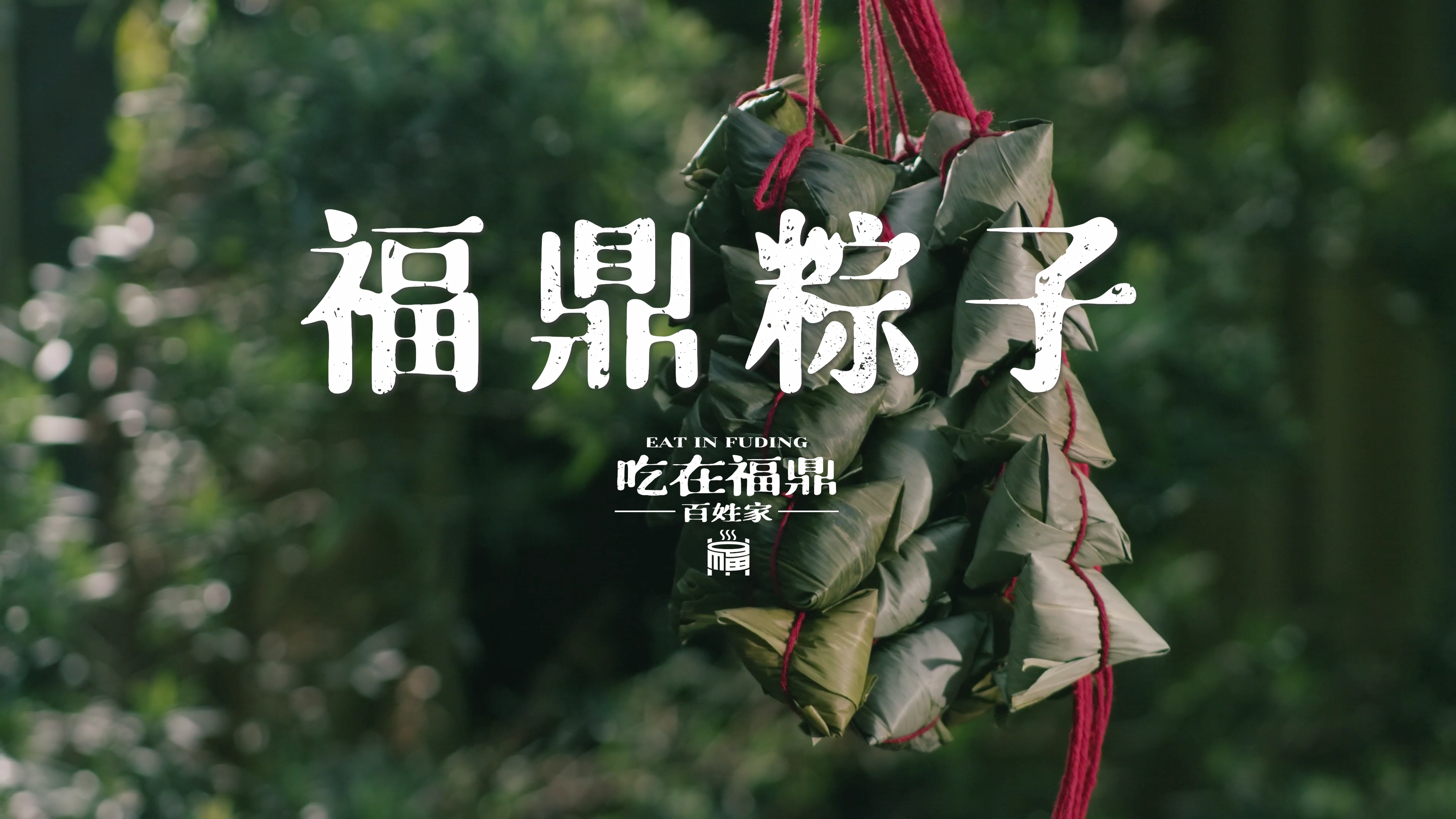 《吃在百家乐平台·百姓家》——《百家乐平台粽子》