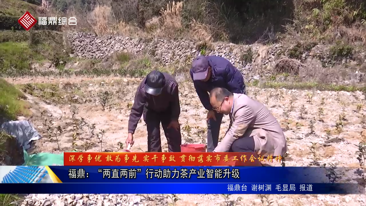 百家乐平台：“两直两前”行动助力茶产业智能升级
